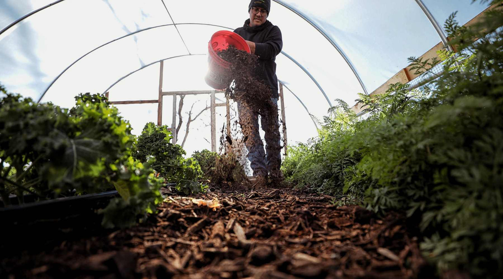 Building a hoop house greenhouse