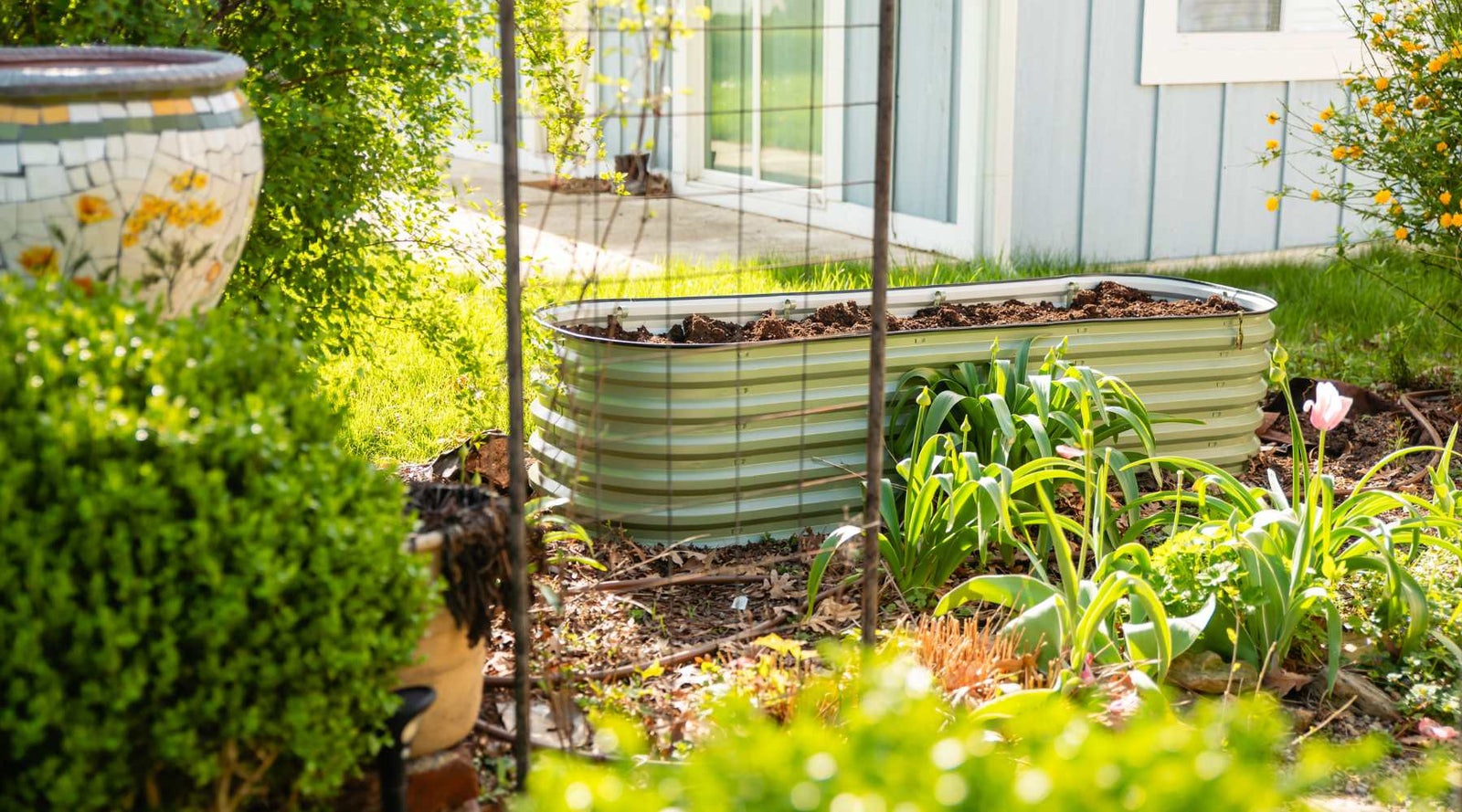 small backyard garden with flowers and raised beds
