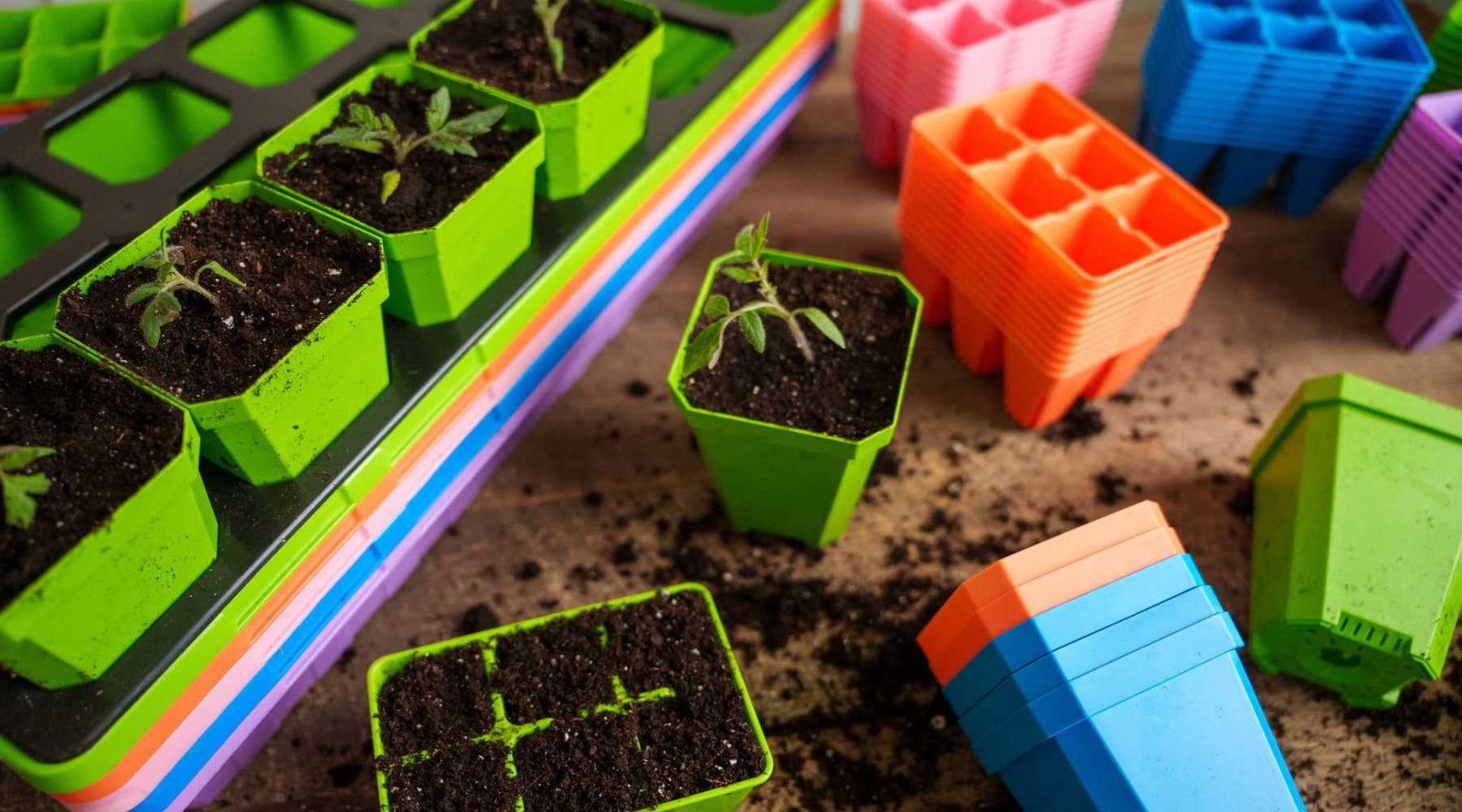 Various sizes and colors of stacked 6-cells and 3.3" pots