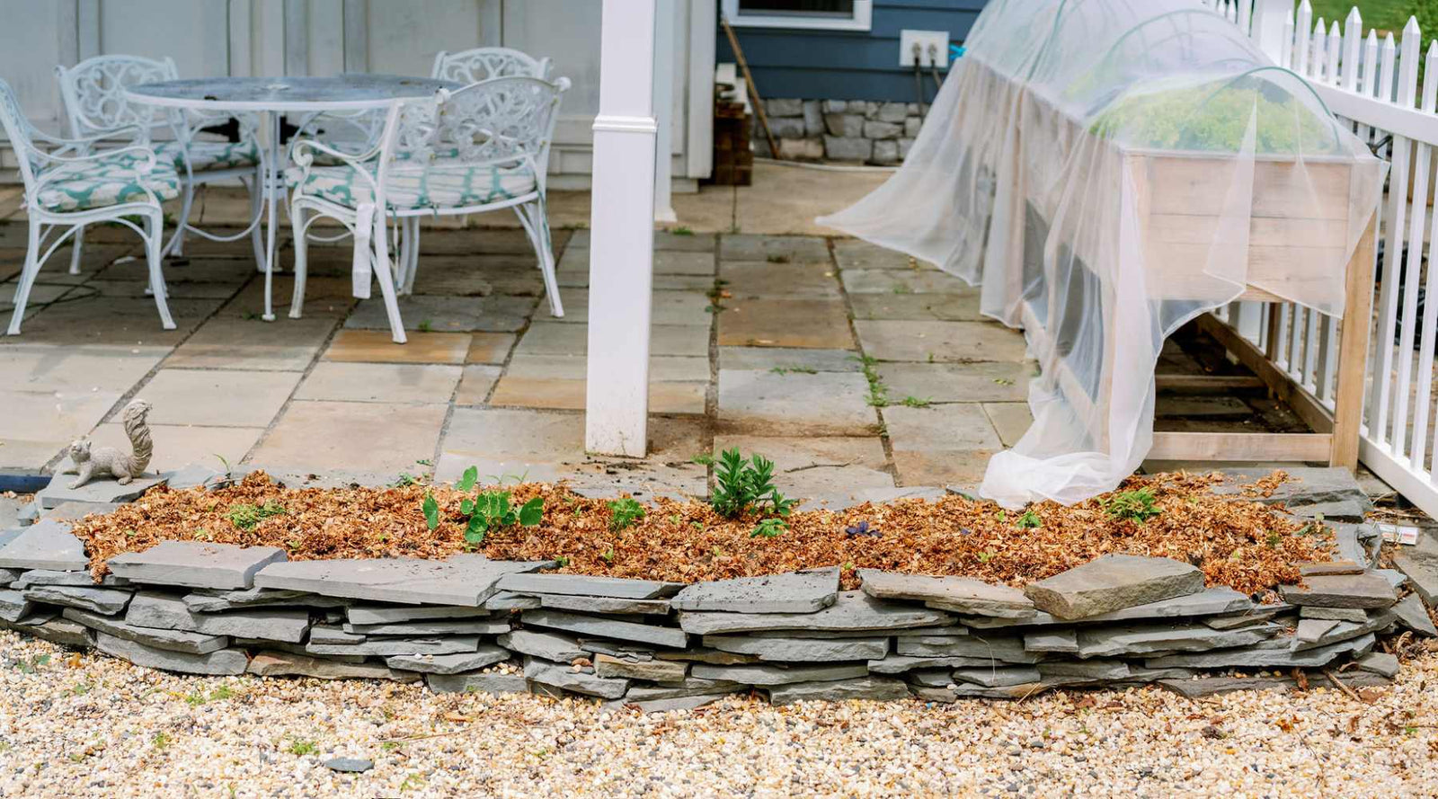 vibrant herb garden near patio