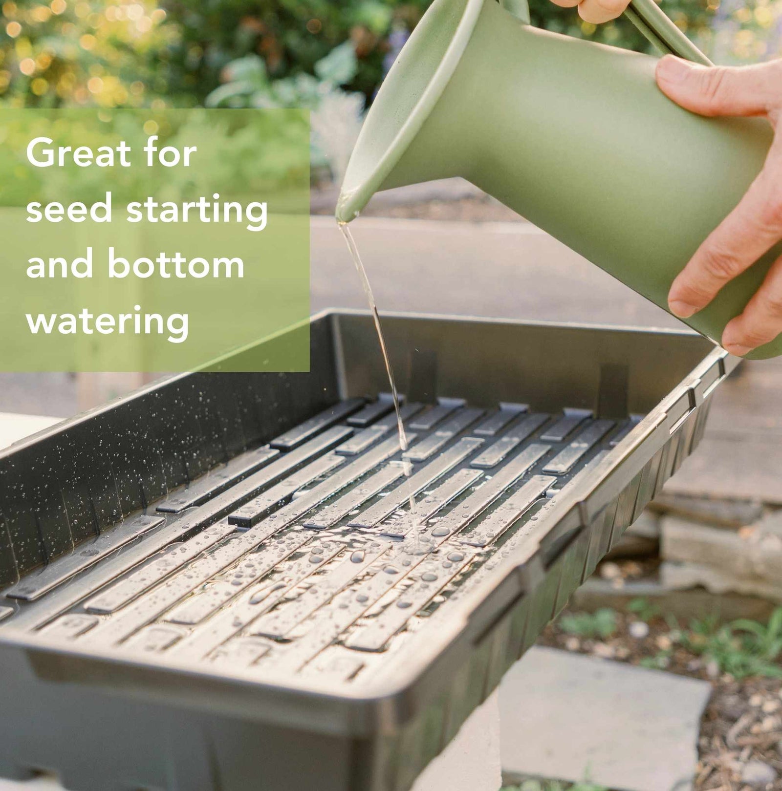 Gardener filling 1020 tray with water