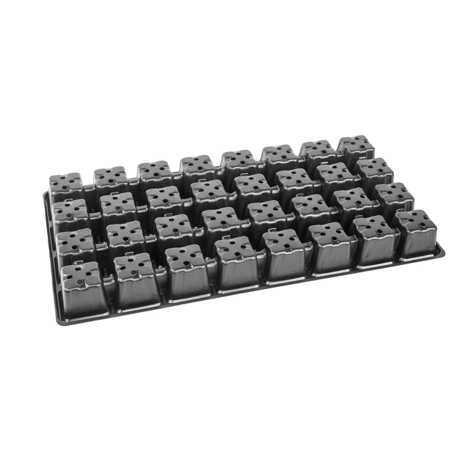 32 cell insert bottom view