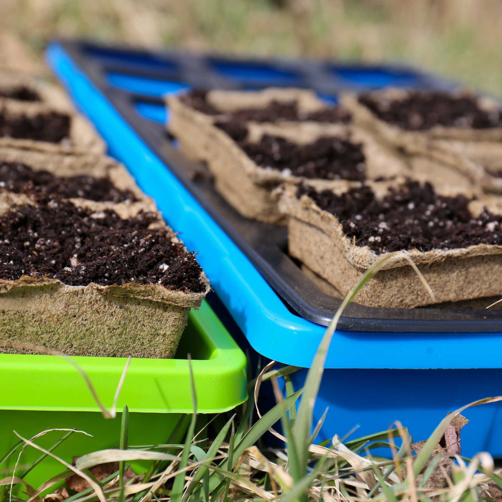 3 in square cowpots in 1020 tray with 3.3 insert