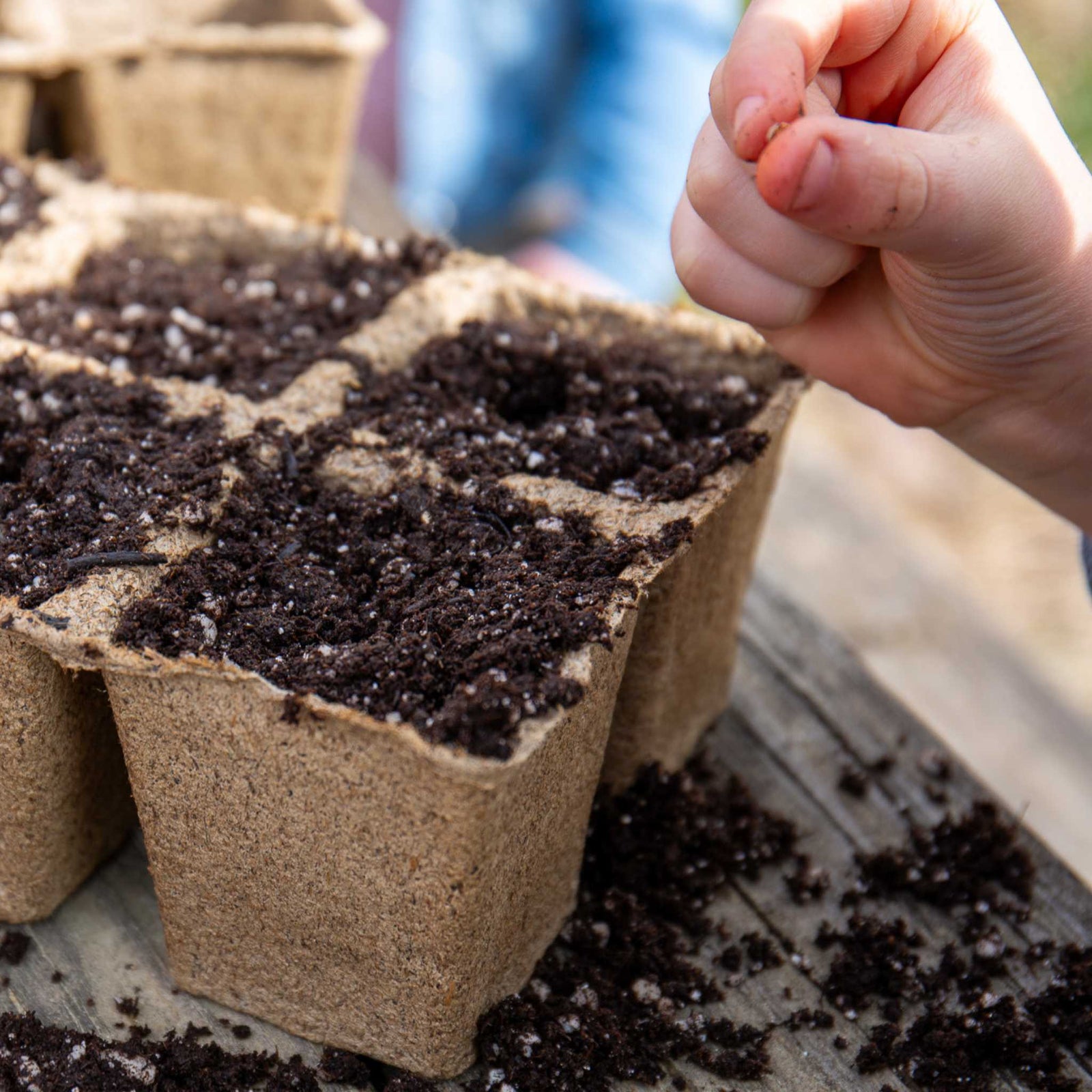 6 cell pot with child holding a seed