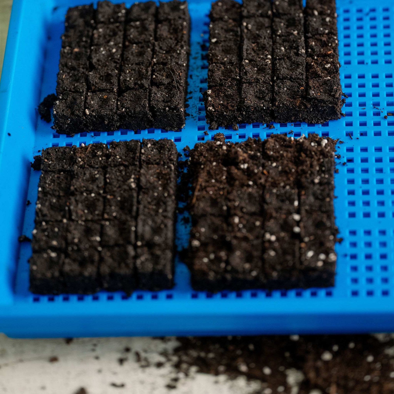 Blue shallow mesh with soil blocks