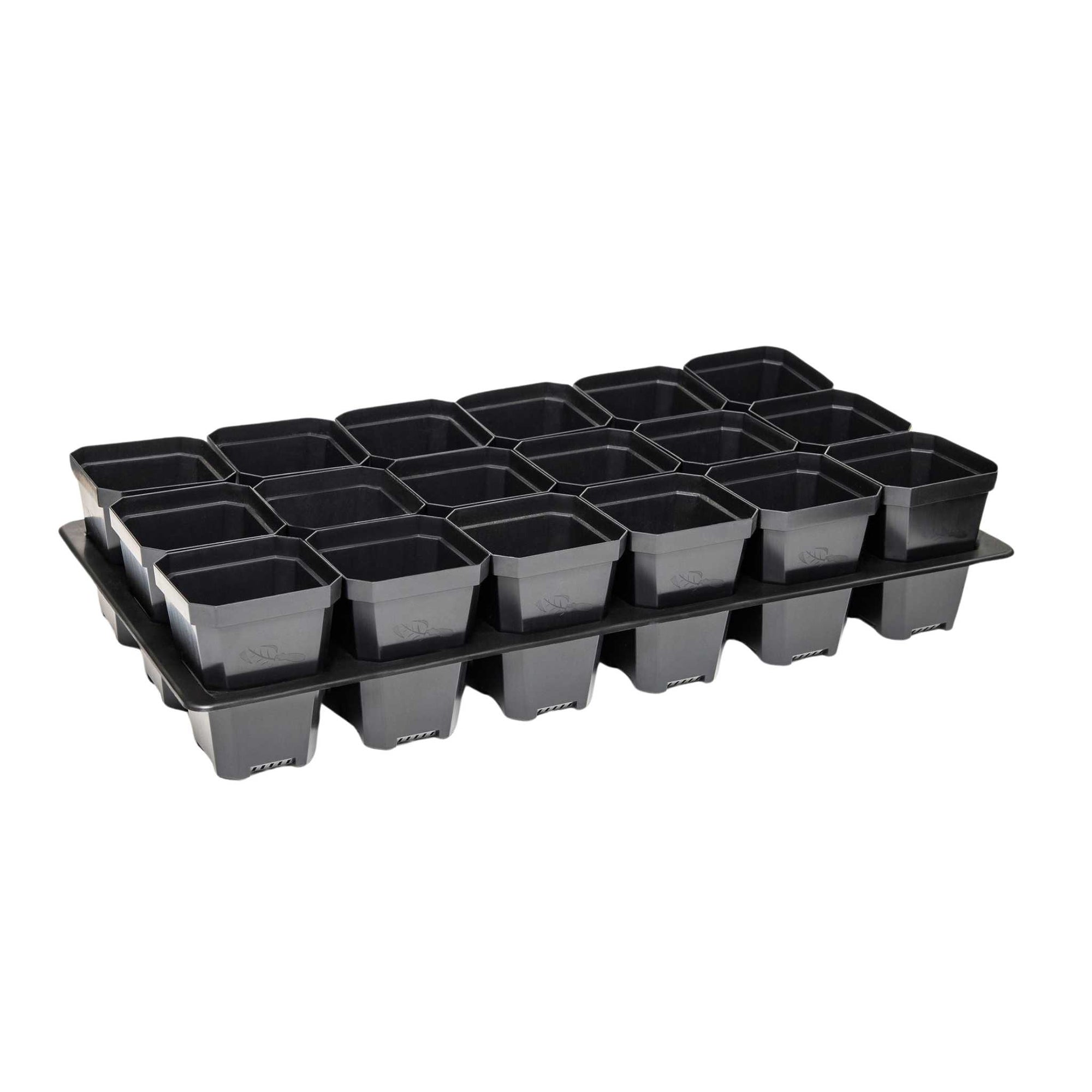 black 3.3 in pots with insert