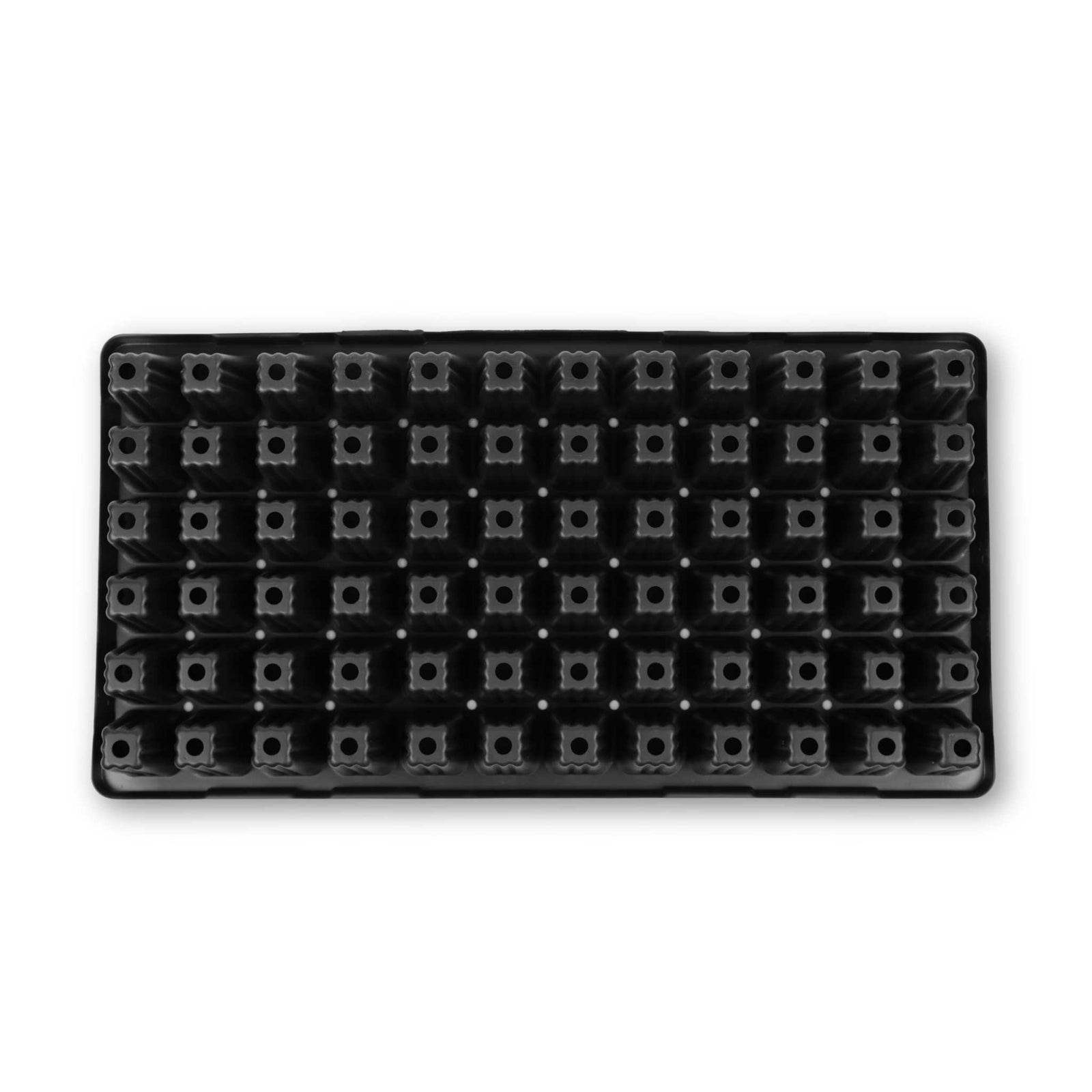 bottom view of 72 cell tray from birdeye view