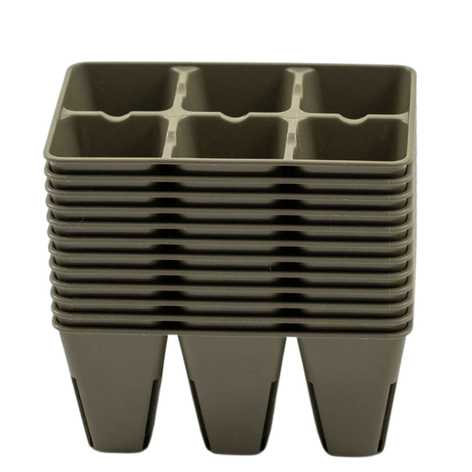 Bronze 6 cell insert