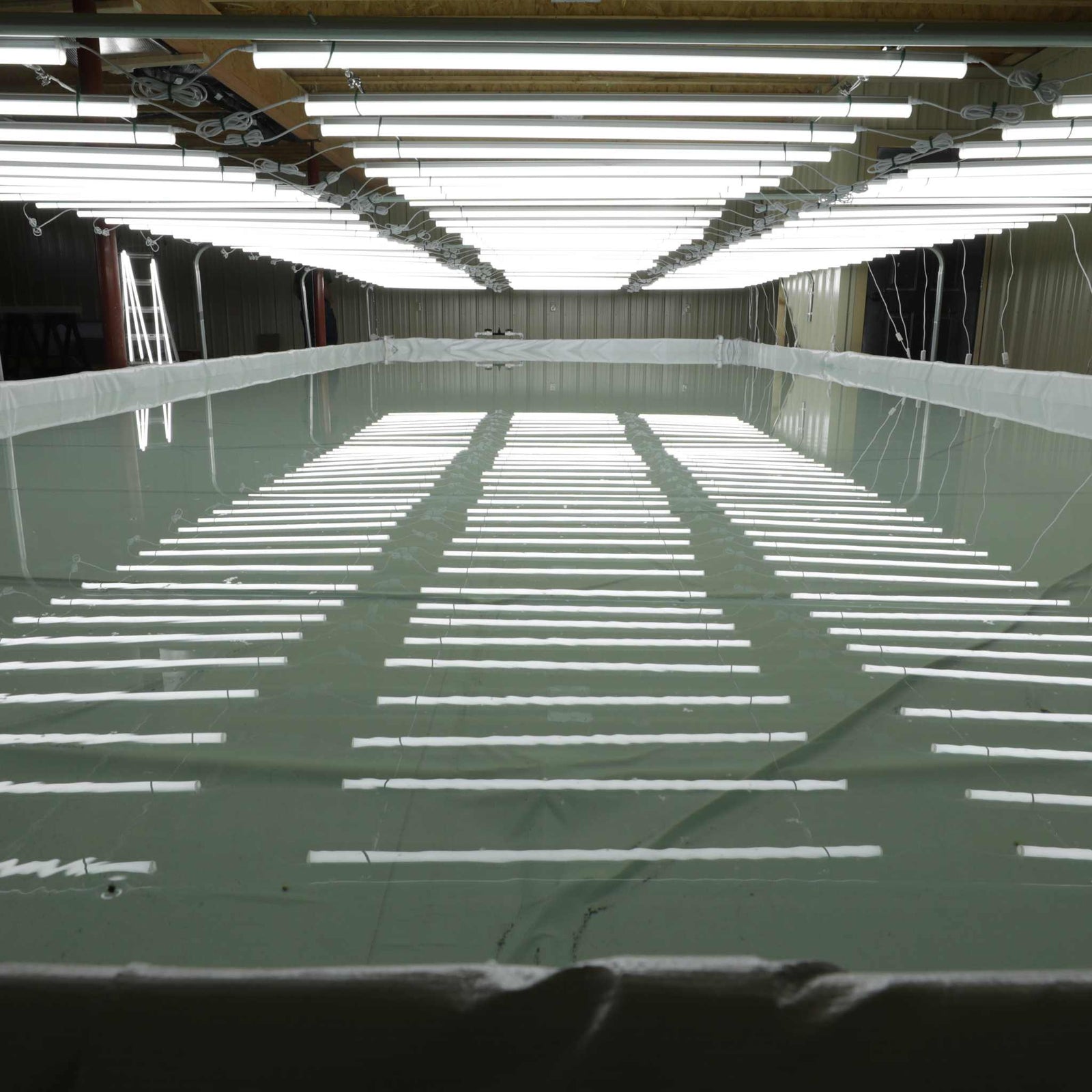 Custom size DWC pond filled with water