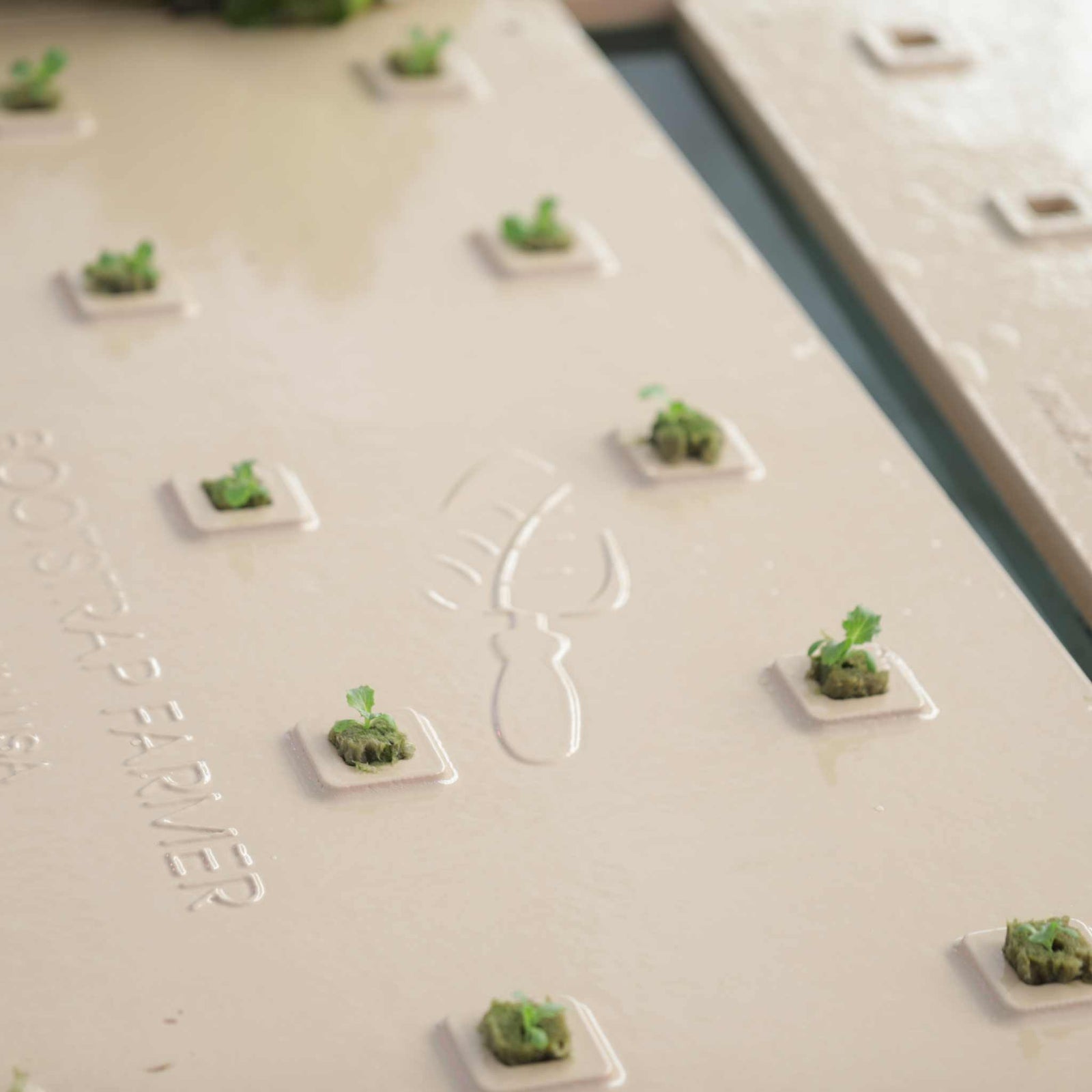 Deep Water Culture Raft