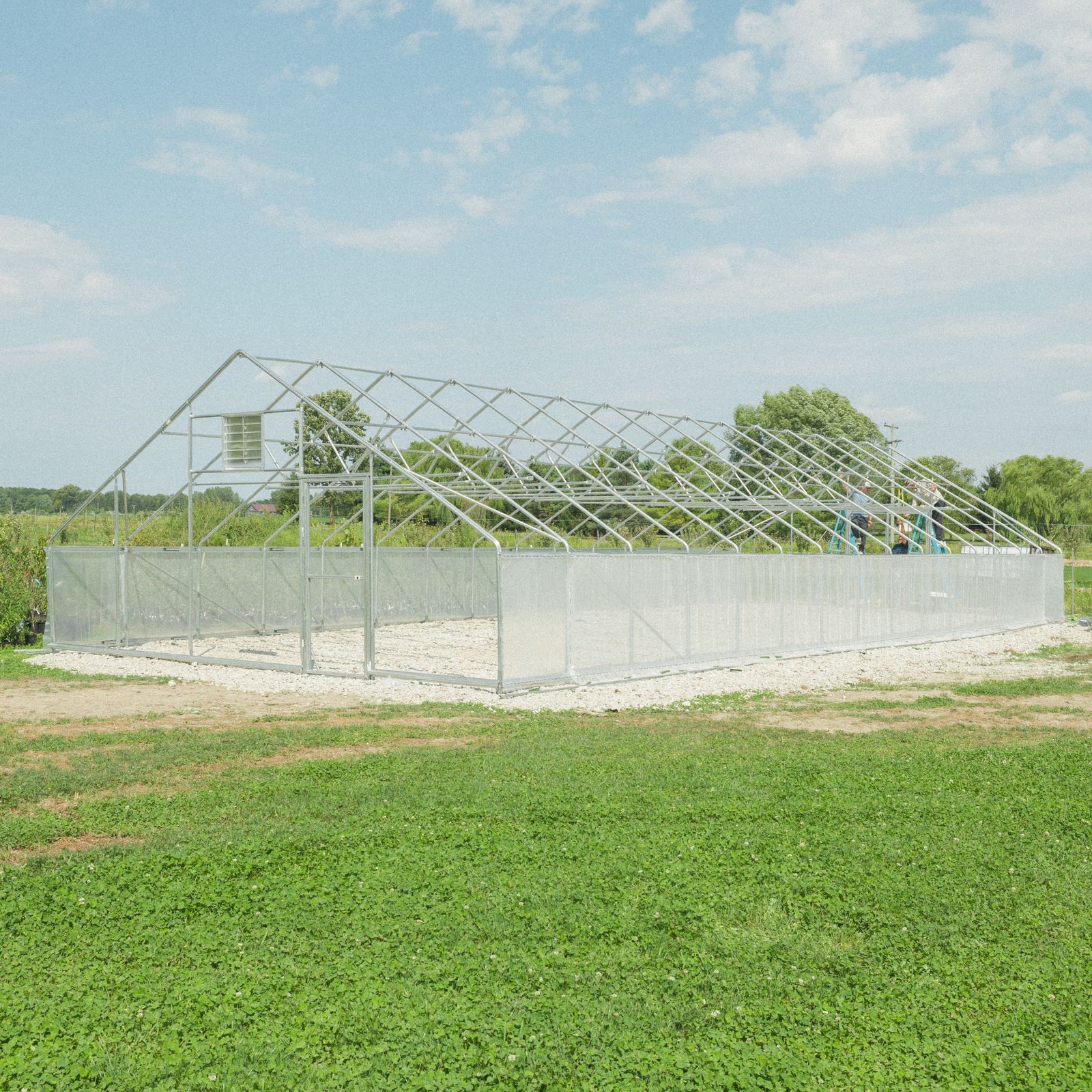 derecho gothic with insect netting attached