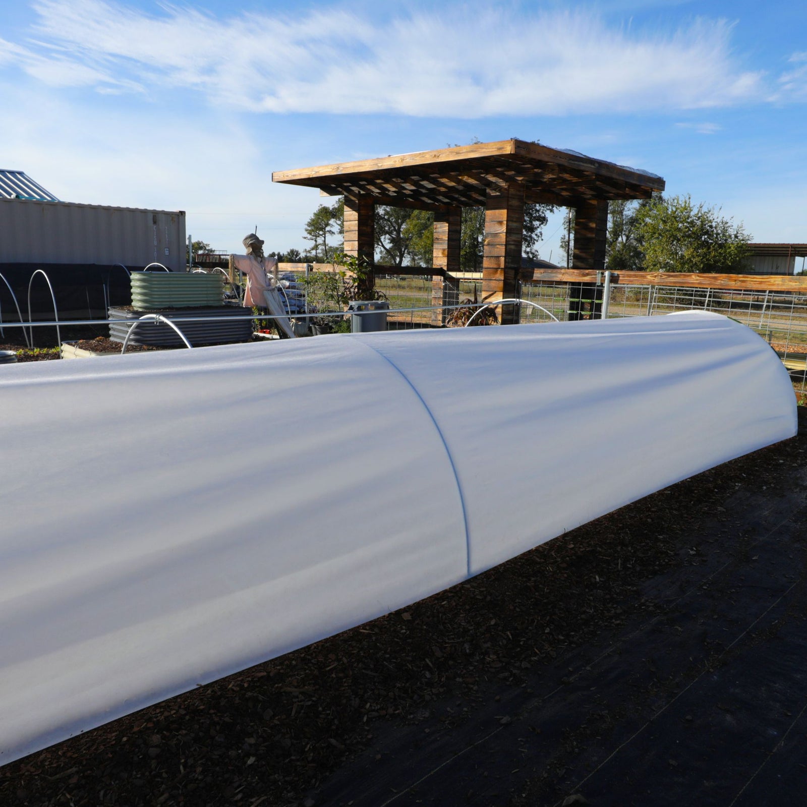 frost blanket on low tunnel