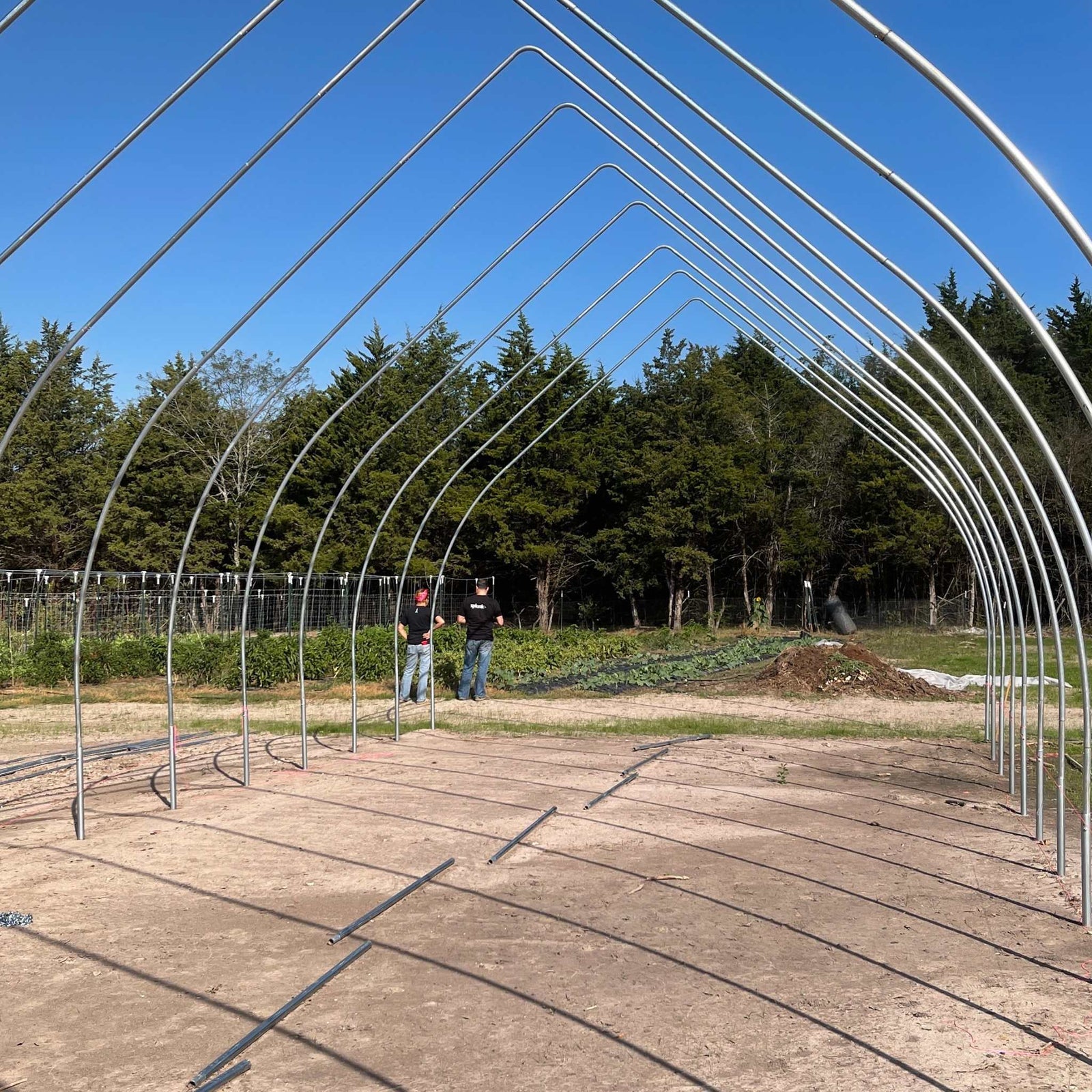 gothic frame on market farm