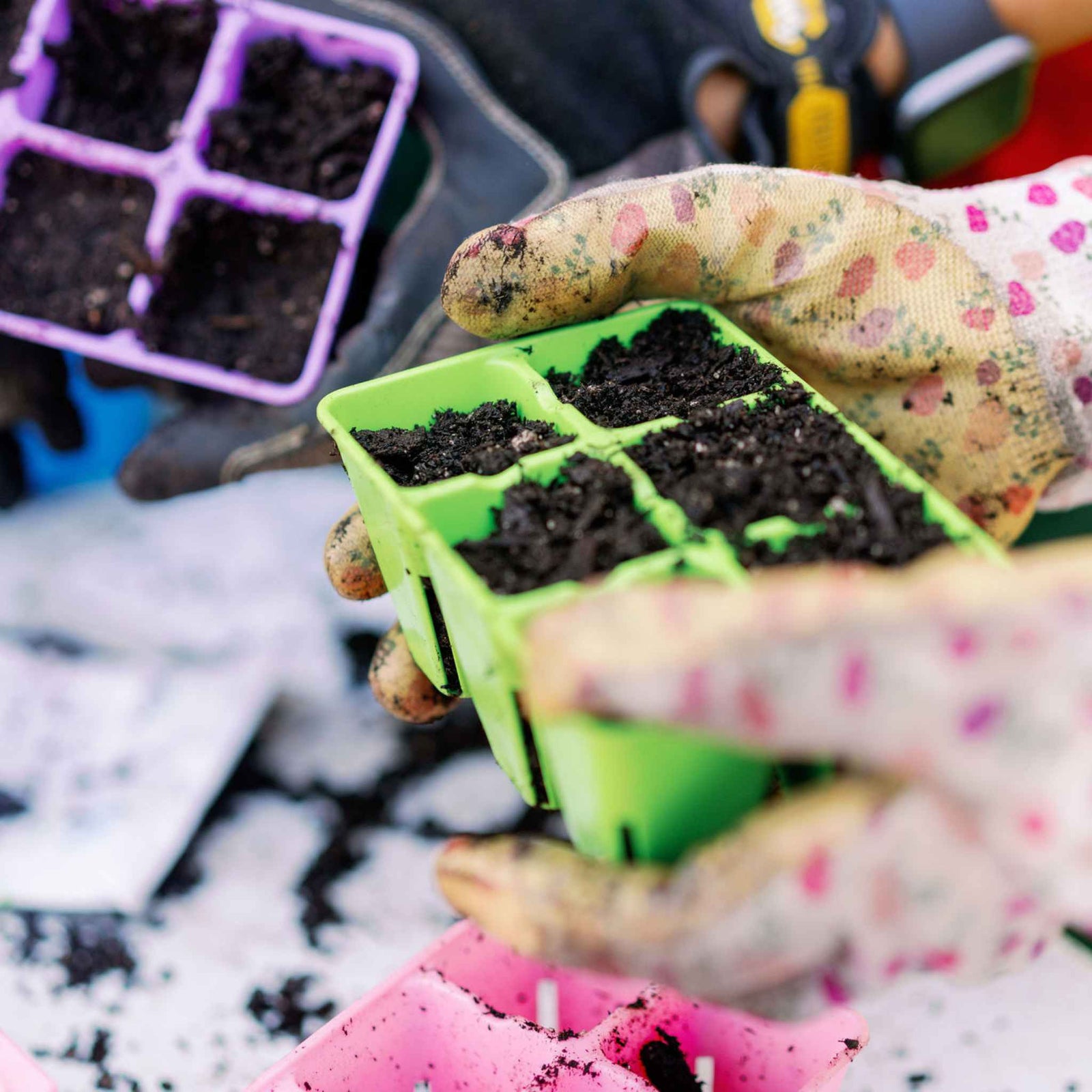 green 6 cell held by child wearing gardening gloves