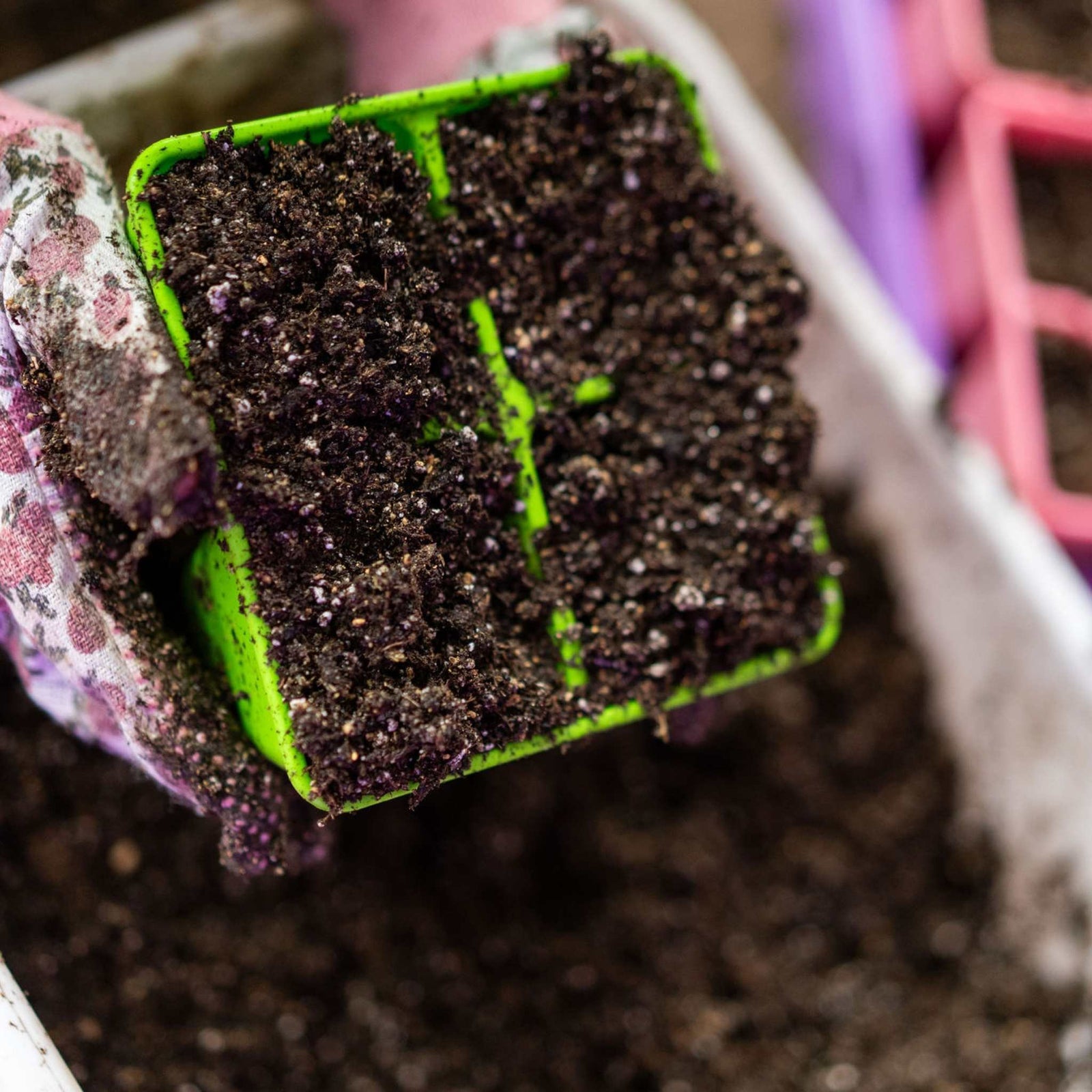 green 4 cell filled with soil