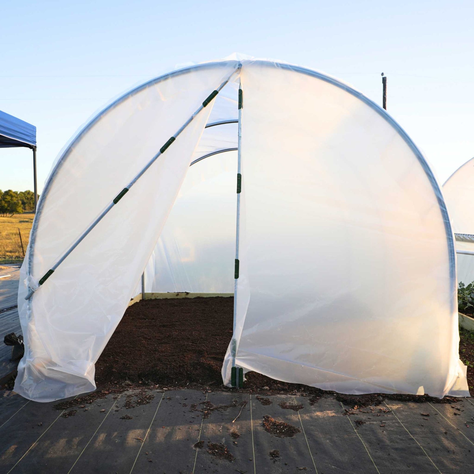 10' x 12' Hobby Greenhouse with Zipper door open showing prepared growing space