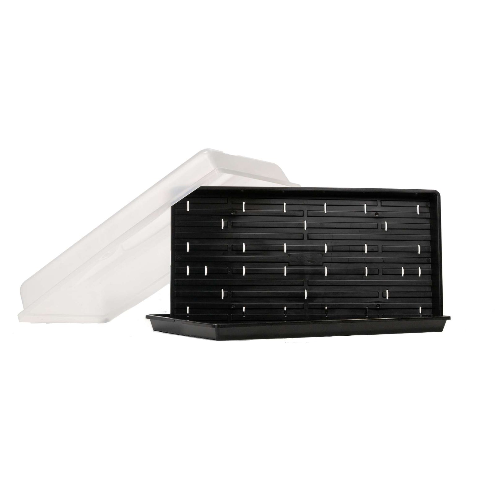 Microgreen Starter Kit