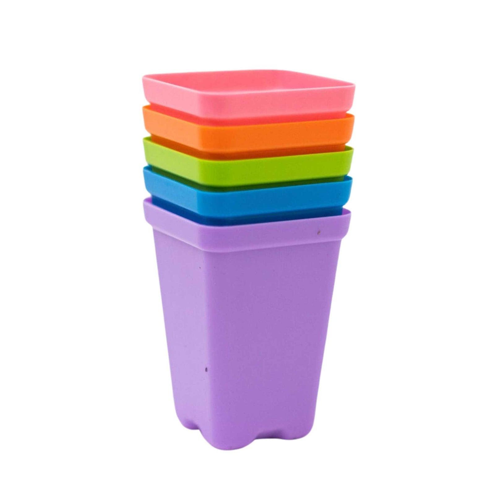 Multicolor 2.5 cups