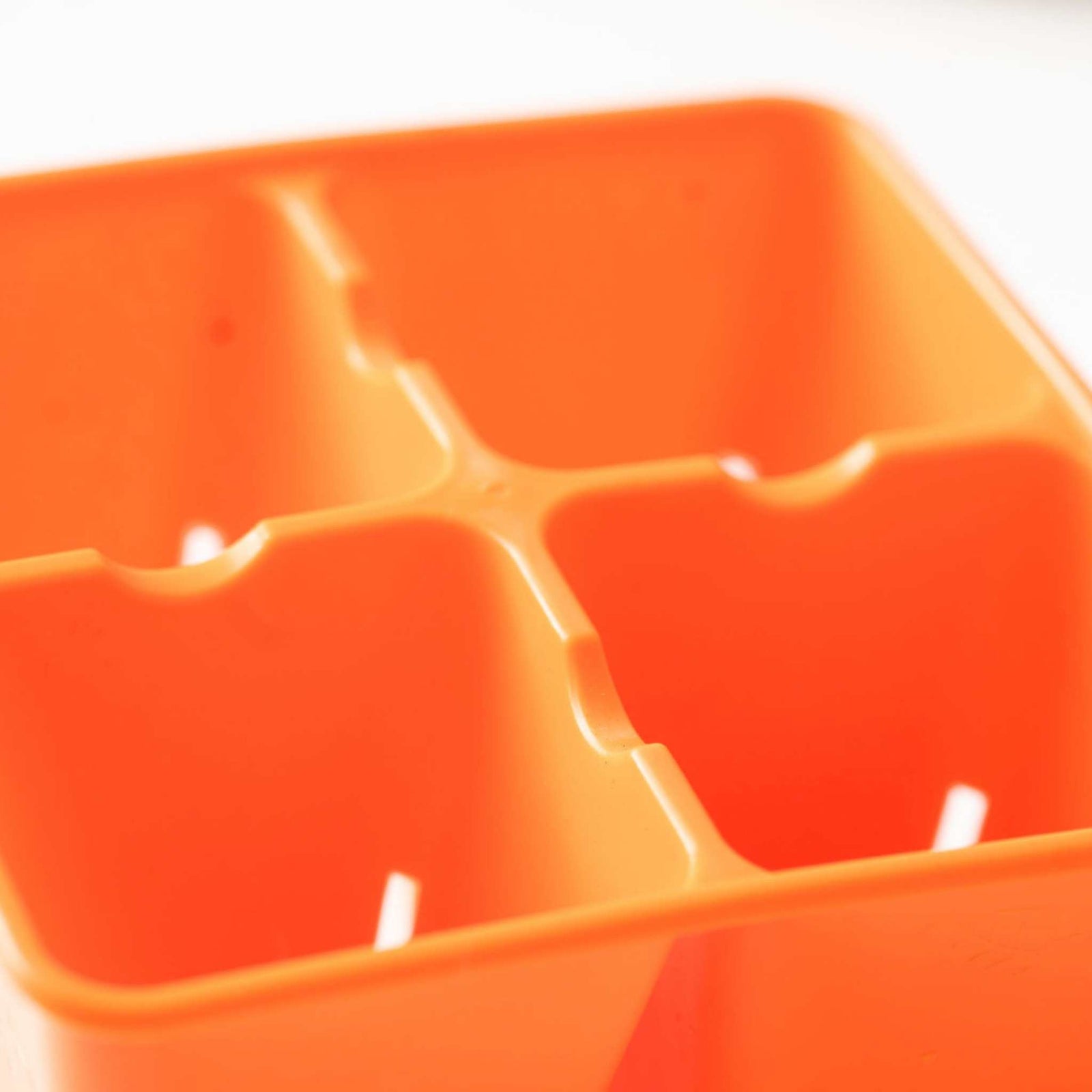 Orange closeup 4 cell top view