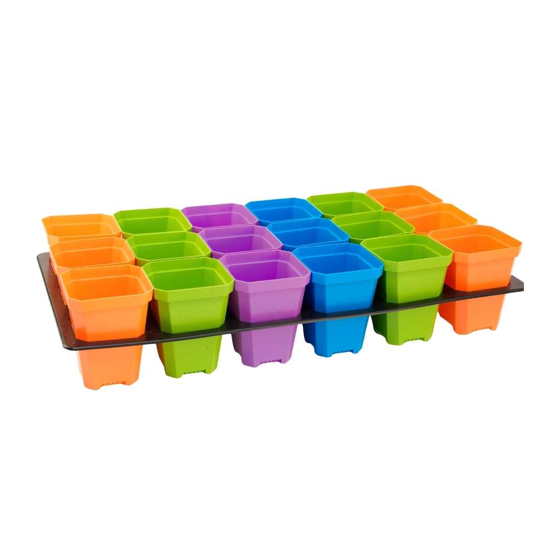 3.3 with insert 36 pack no pink