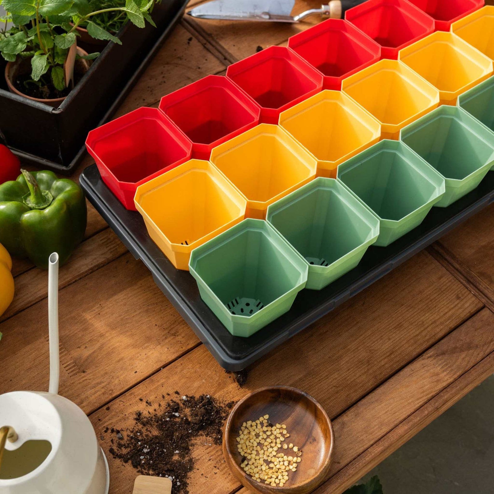 3.3 inch pots in an insert holder sitting on a wooden table with pepper seeds, soil and some other planting supplies.