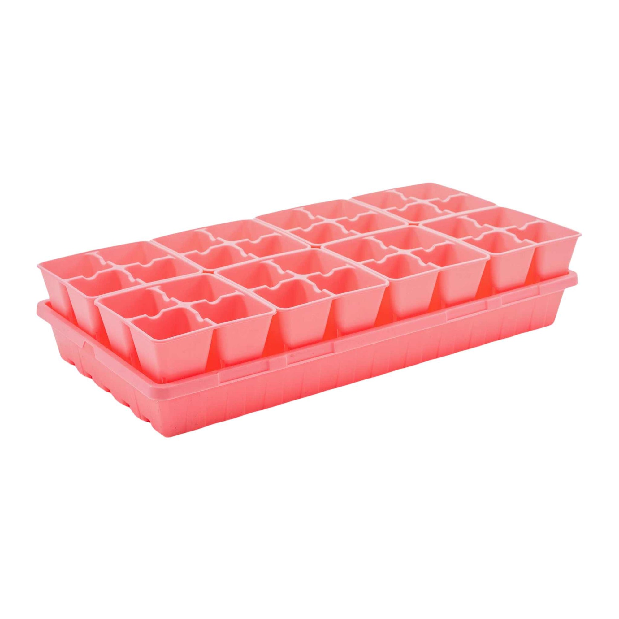 8 4 cell plug trays within a 1020 pink tray