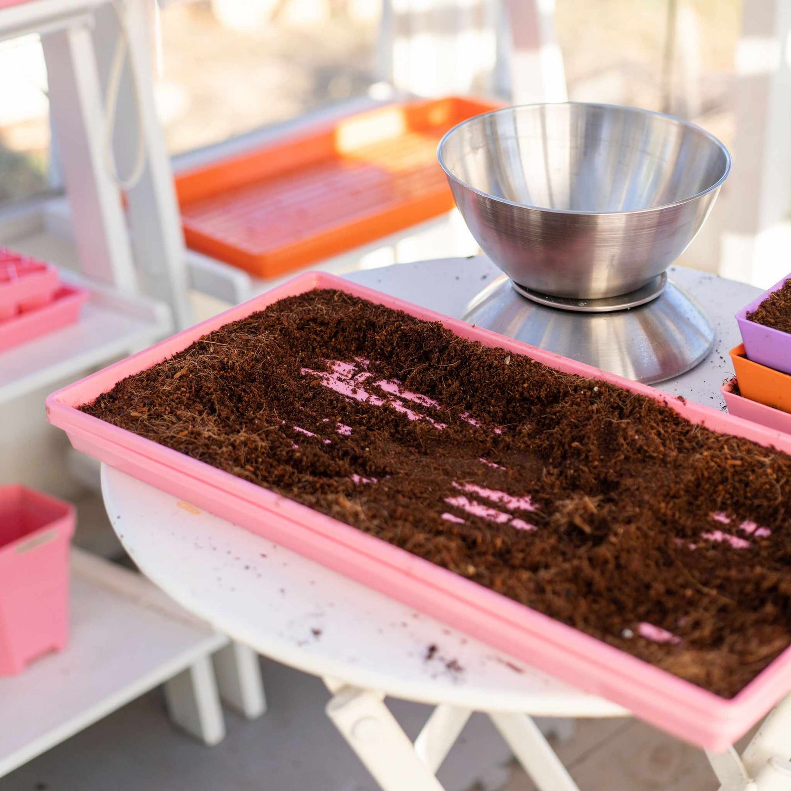 Pink Microgreens Tray with coco coir