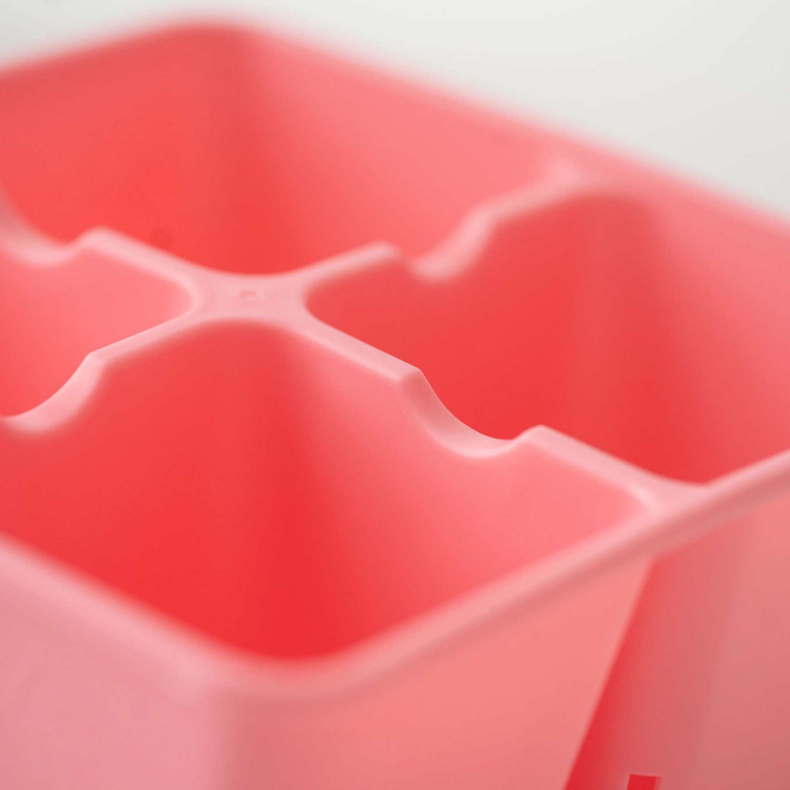 Pink 4 cell closeup top view