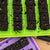 Green and Purple Mesh Trays with Soil Blocks Seeded with Sunflower and Basil Seeds