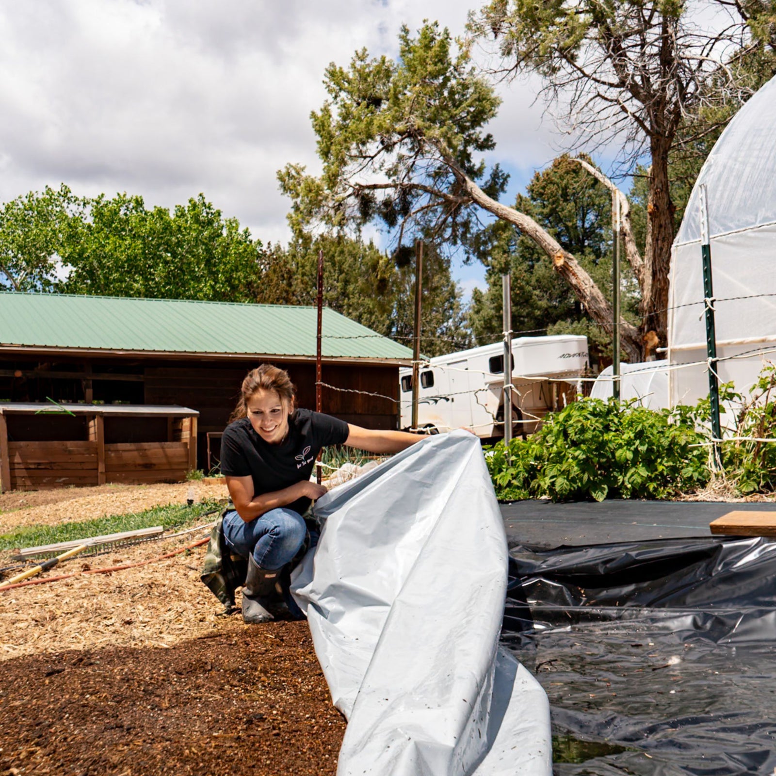 grower uncovering silage tarped area closeup shot