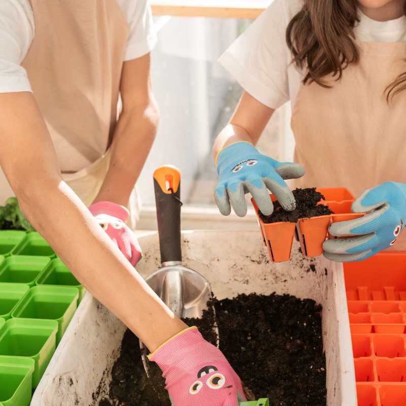 Boy and girl using seeds staring classroom kit