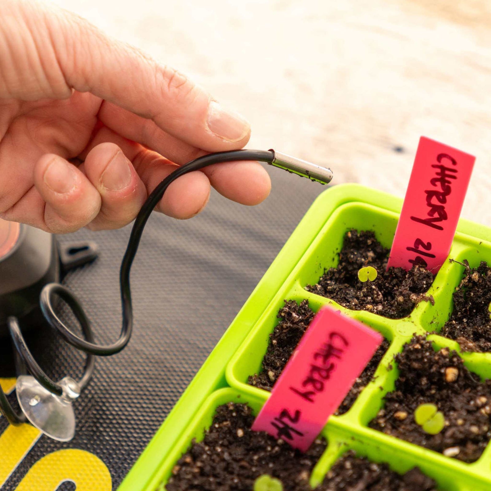 setting probe in 6 cell