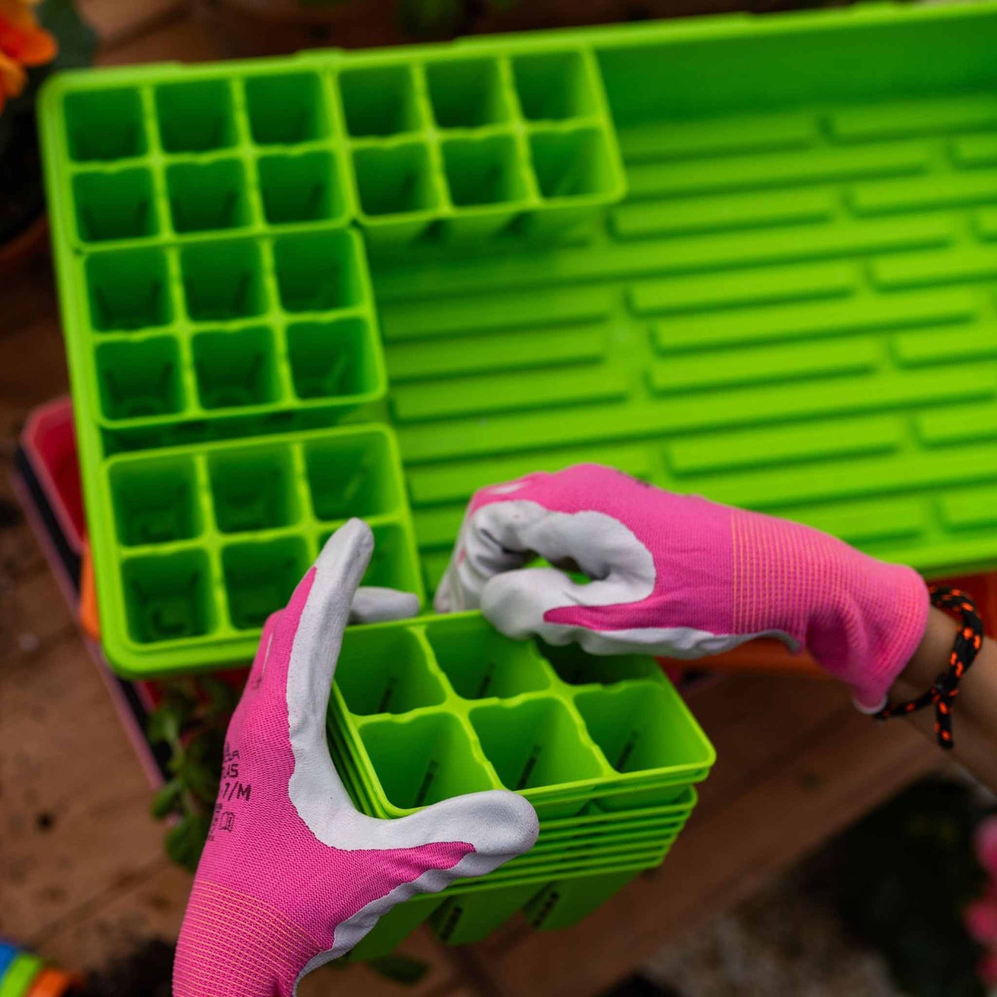 hands in pink gloves placing green 6 cells inside of a 1020 green tray, prepping for seed starting.