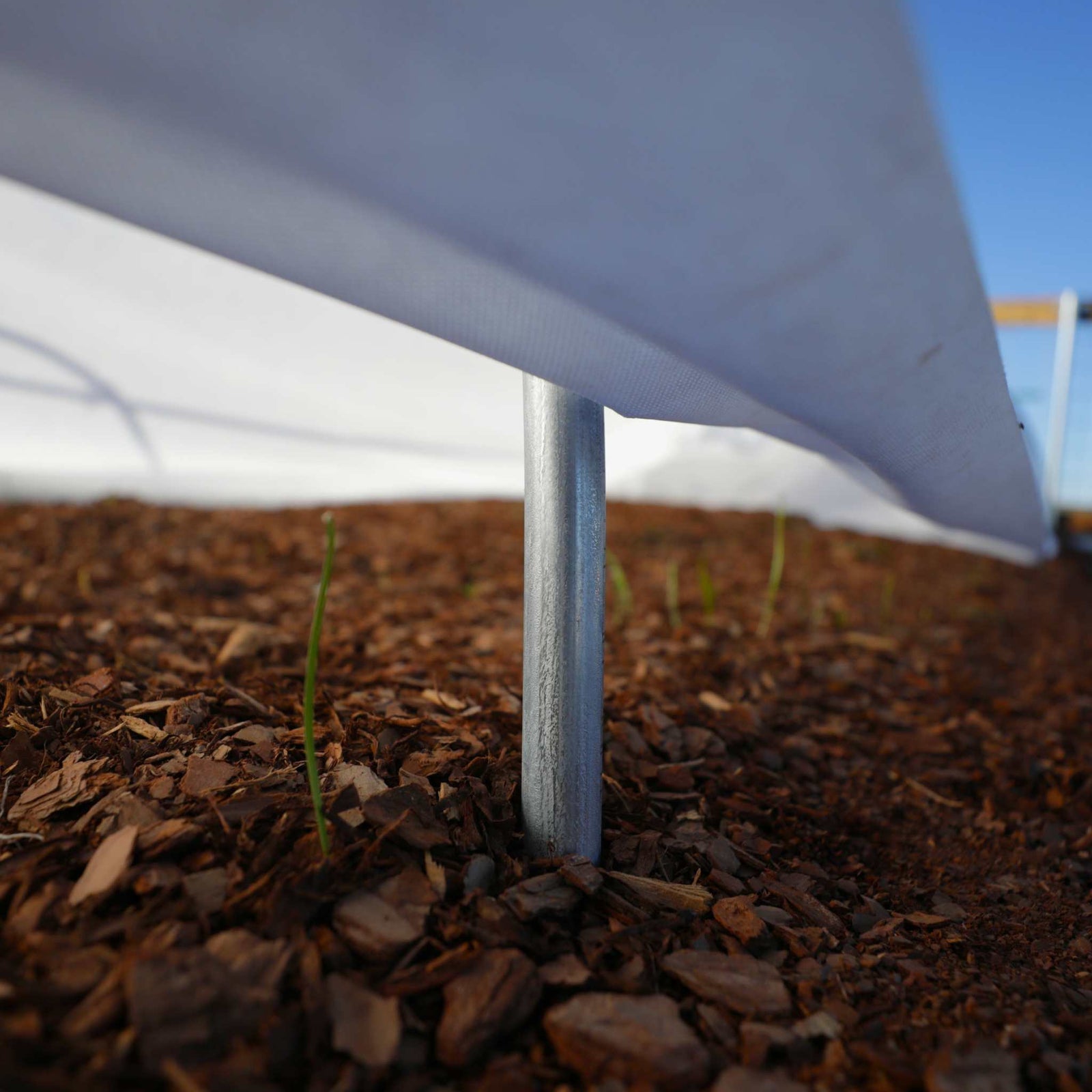 frost blanket vented over low tunnel