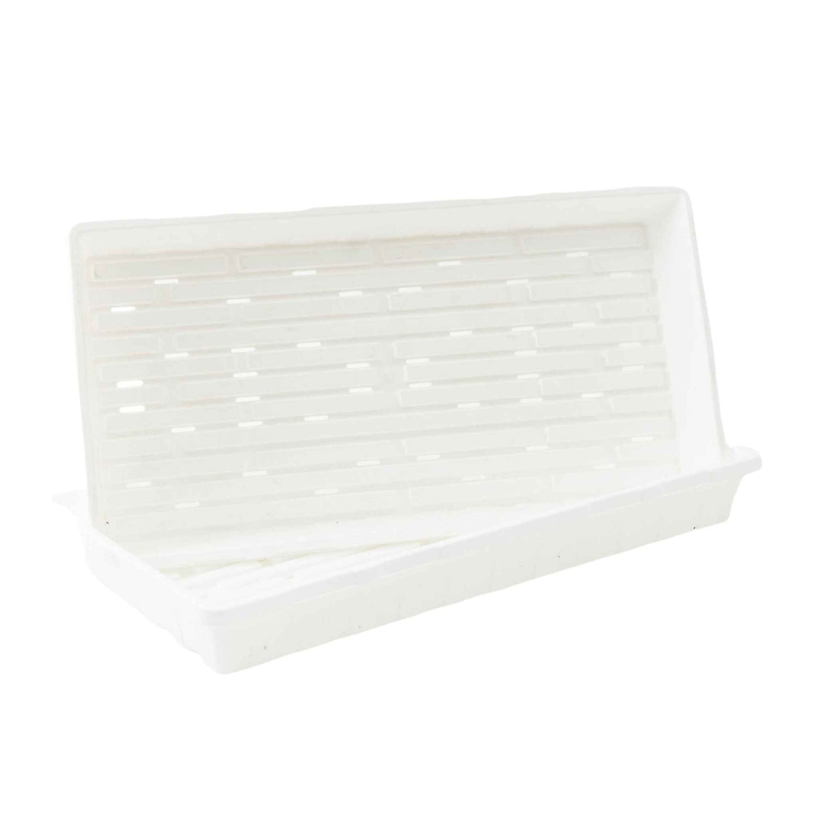 1020 White With Hole