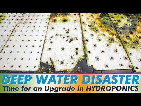 Deep Water Greens Raft