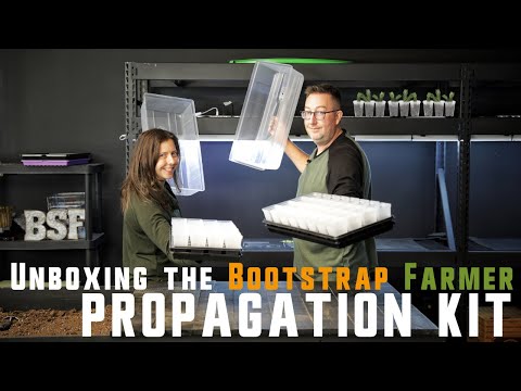 Propagation Kit | For Cuttings, Seedlings and More