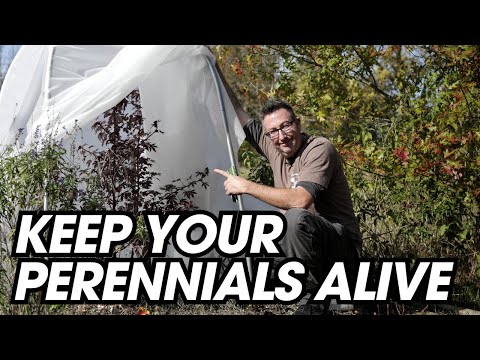 Video showing building of the tree protector diy