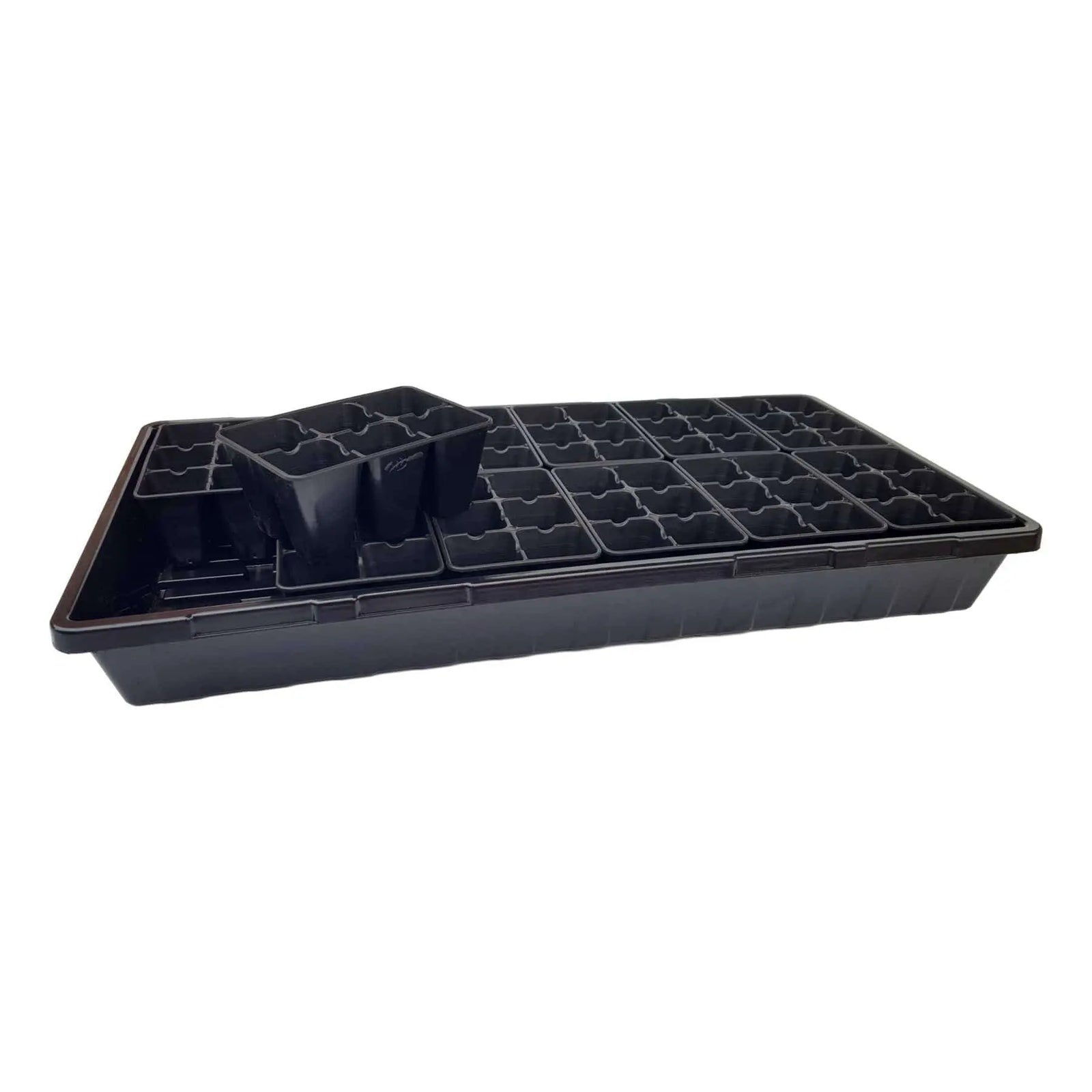 6 Cell Trays in 1020 Trays