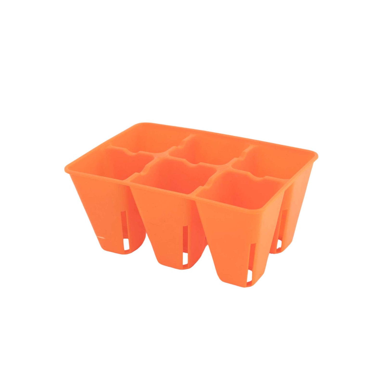 Orange 6 cell