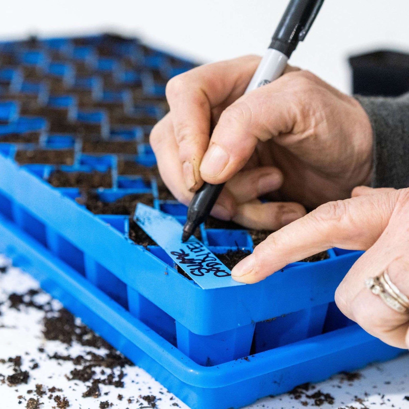 Blue Air Prune Tray