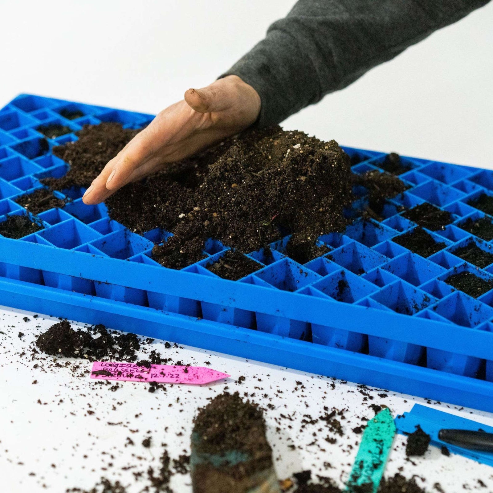 Blue Air Prune Tray