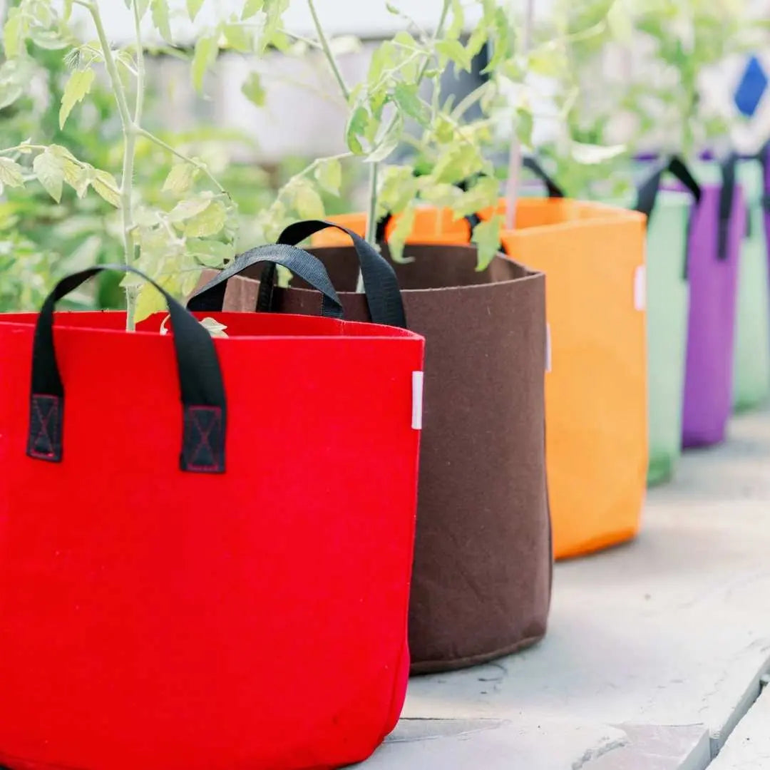 Line of planted multi-color fabric grow bags