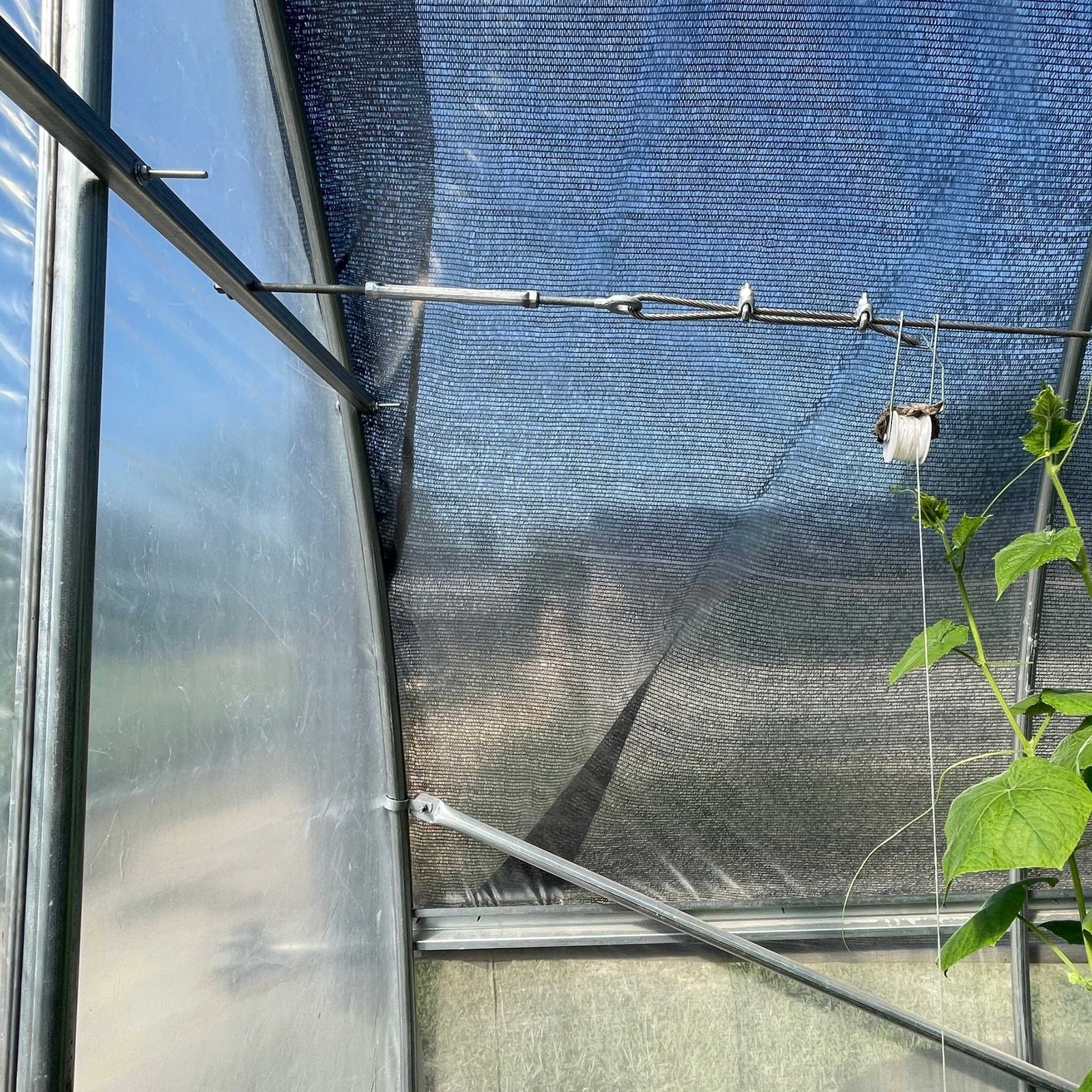 horizontal trellis bar