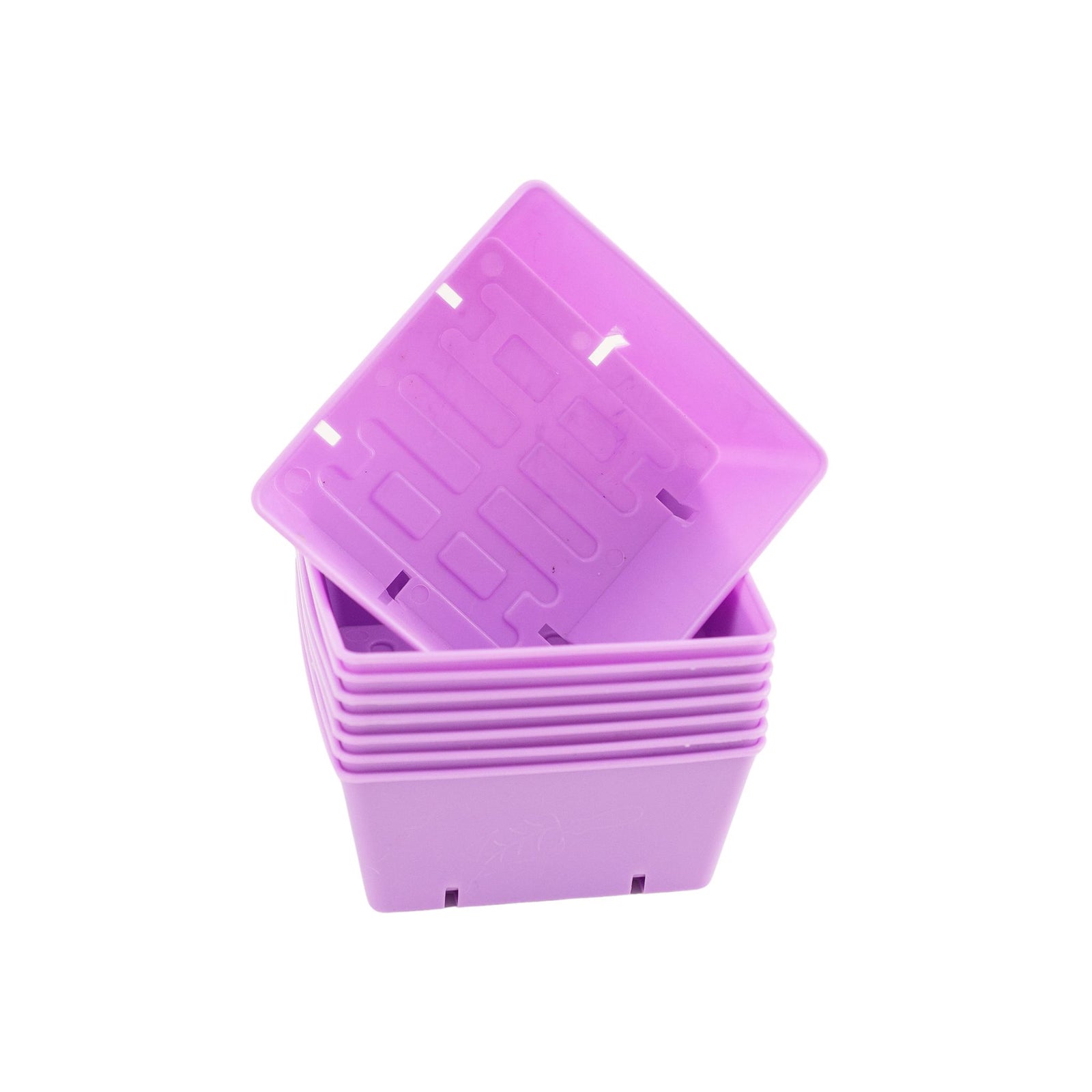 purple 5x5 deep