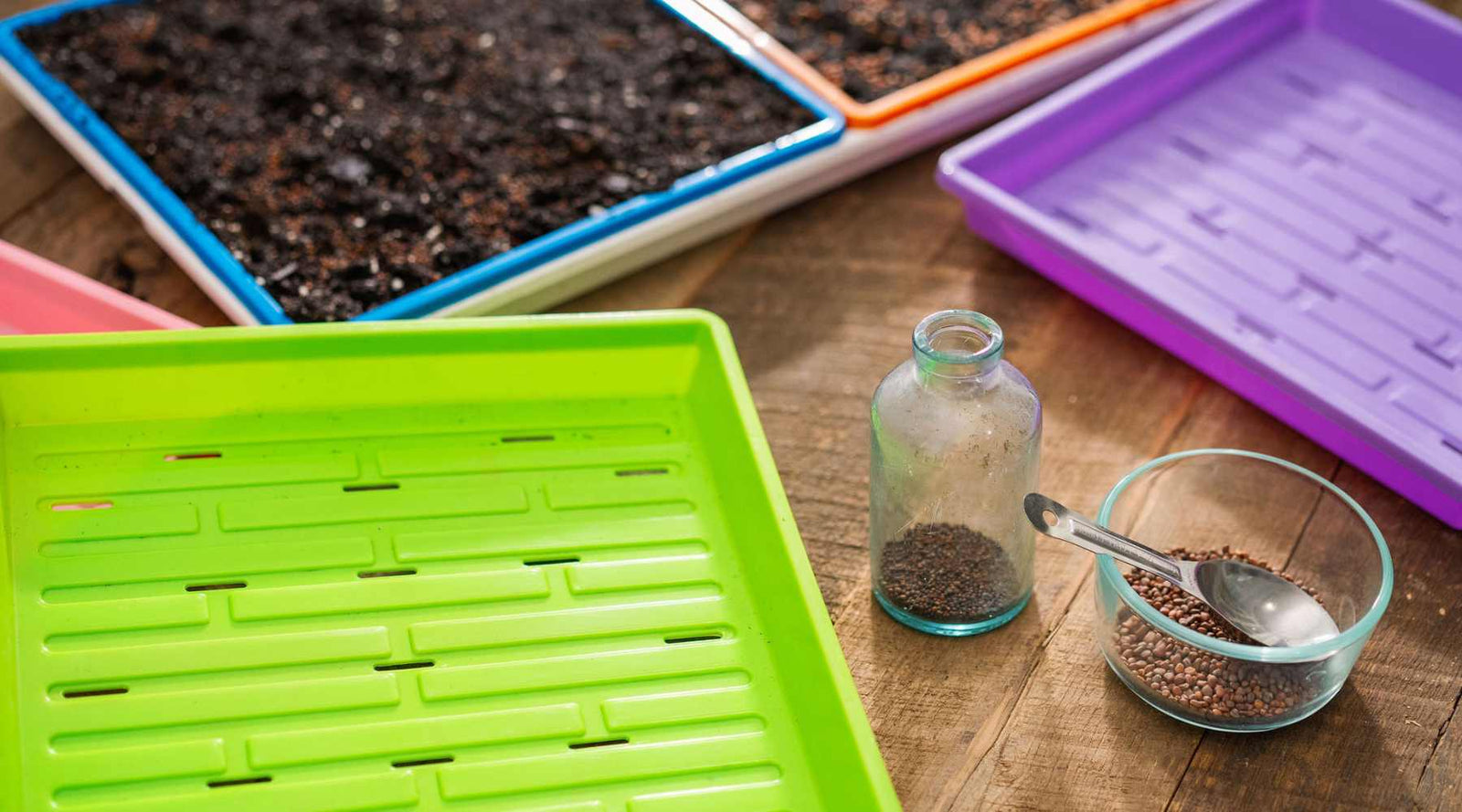 Setup for growing microgreens in 1010 trays