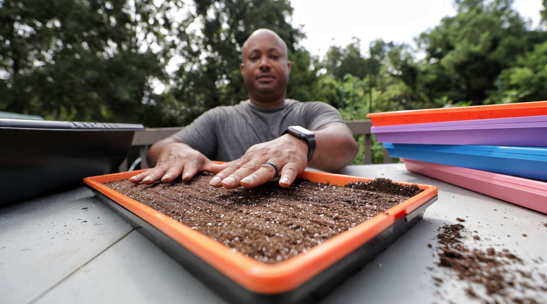 Top 5 Best Growing Mediums for Microgreens - Bootstrap Farmer