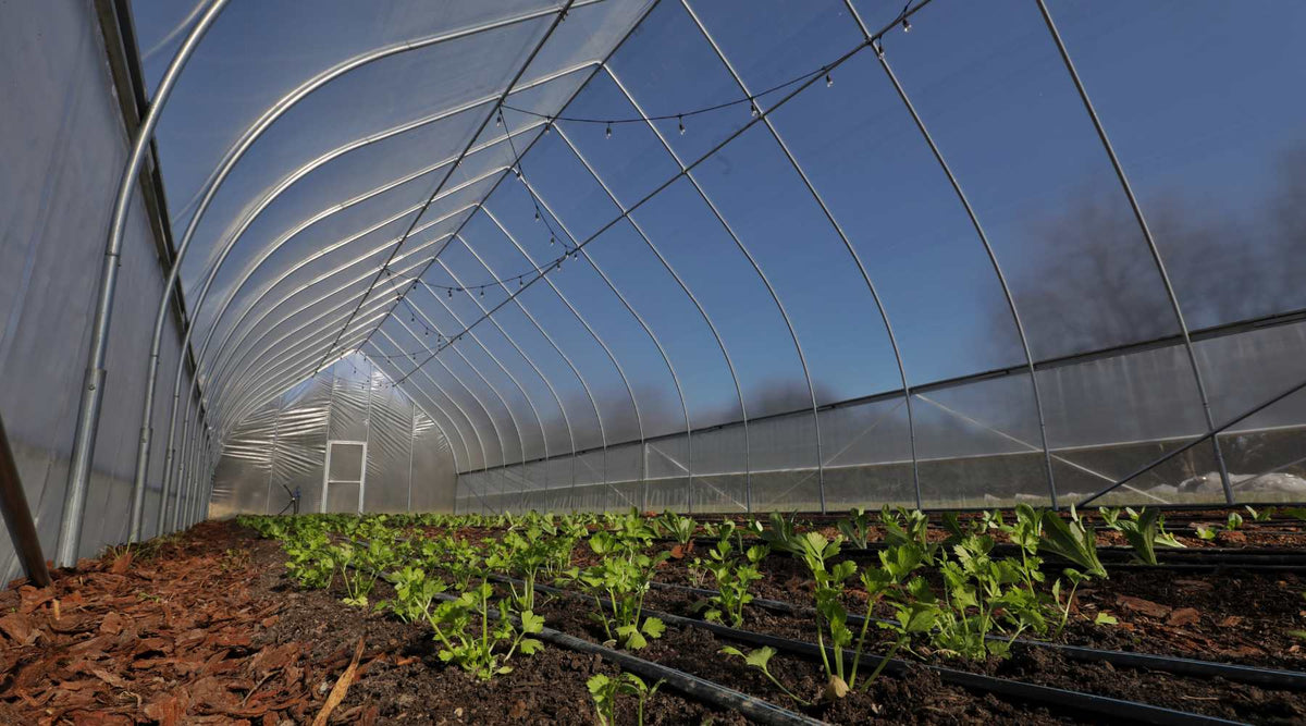 Wind & Snow Load Calculator for High Tunnel Greenhouse