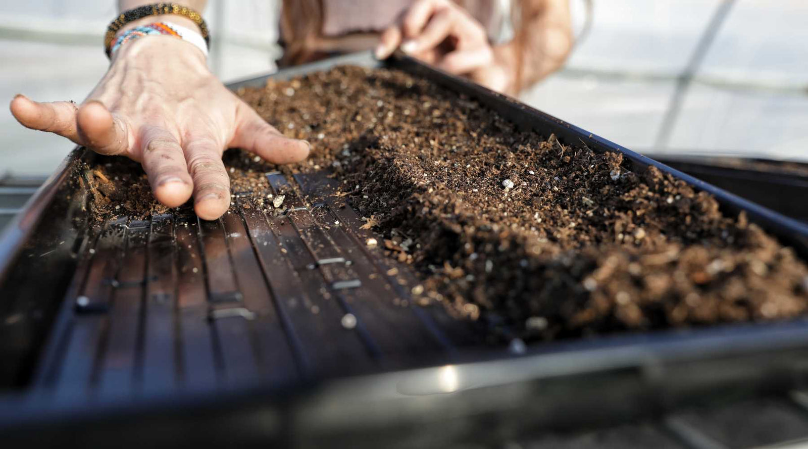 How to Avoid Spotty Microgreen Trays