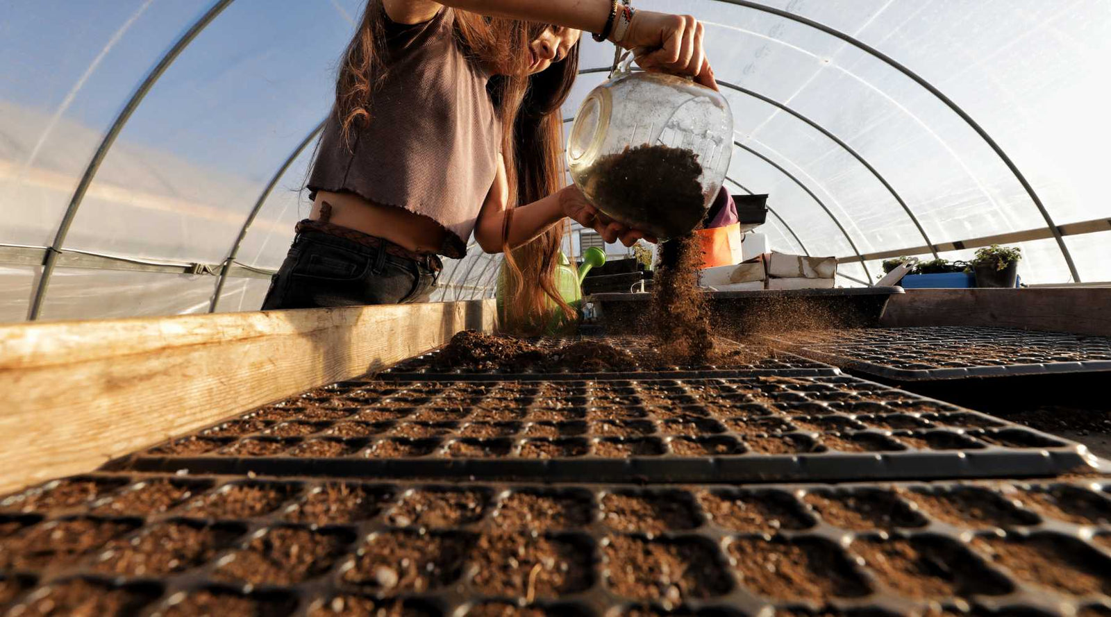 Selecting the Right Cell Tray